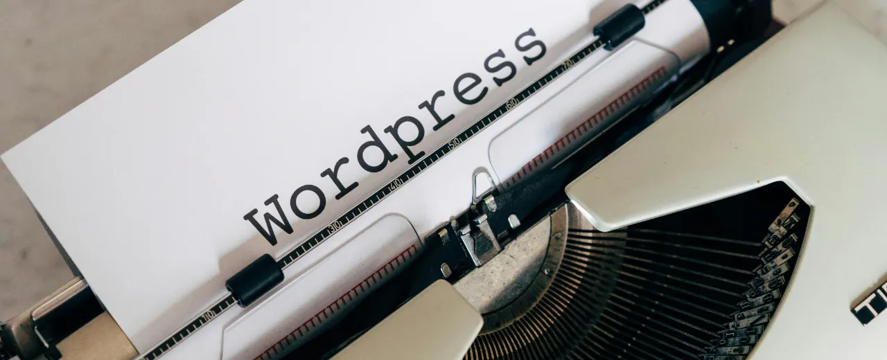 What is the difference between a WordPress theme and a plugin?